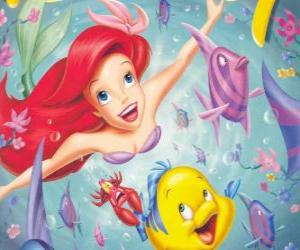 Puzzle Ariel, la petit sirène nage joyeusement avec ses amis, Sébastien et Flounder