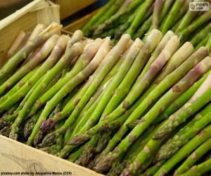 Puzzle Asperges