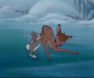 bambi-et-pan-pan-sur-la-g_4a65a3227b9d1-p.jpg