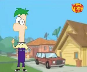 Puzzle Ferb, un garçon de 12 ans aux cheveux verts, intelligent et de peu de mots