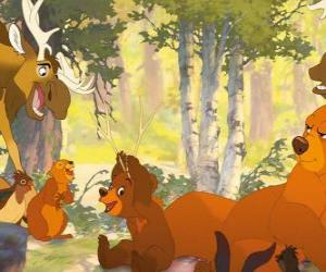 Puzzle Frère des ours
