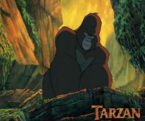 Puzzle Kerchak, le mâle dominant
