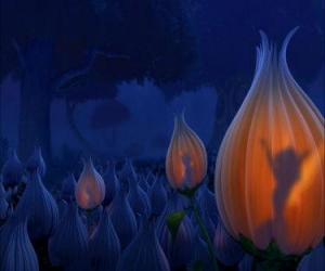 Puzzle Les fées se réveille sur la naissance d'une fée de nouveaux
