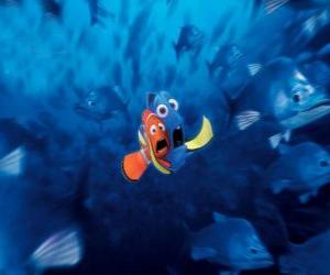 Puzzle Marlin et Doris très effrayé par un troupeau de poisson