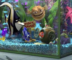 Puzzle Nemo dans l'aquarium avec leurs nouveaux amis