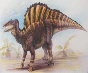 Puzzle Ouranosaure, était un herbivore bipède / quadrupède qui mesure environ 7 mètres de long et pèse 4 tonnes.