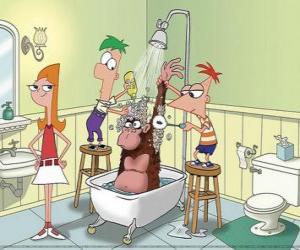 Puzzle Phineas et Ferb, un gorille en averses ont été observées Candance