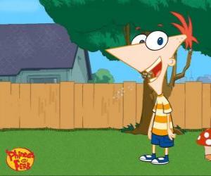 Puzzle Phineas Flynn, un garçon de 11 ans très intelligent et beau-frère de Ferb