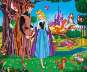 Puzzle Prince Philippe rencontre Rose chantant par les bois et ils tombent amoureux, tout en ignorant ses identités