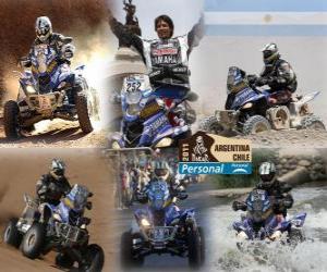 Puzzle Quads champion Alejandro Patronelli Dakar 2011