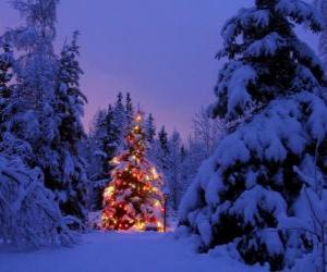 Puzzle Sapins de Noël dans un paysage enneigé