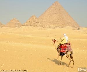 Puzzle Un chameau devant les pyramides, des monuments funéraires de l'Egypte ancienne