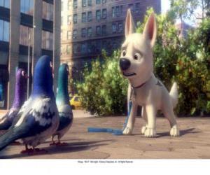 Puzzle Volt à New York parlant avec les pigeons dans le parc