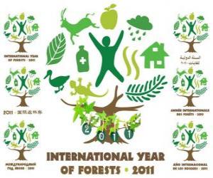 Puzzle 2011 Année internationale des Forêts