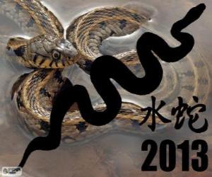 Puzzle 2013, l'année de la Serpent d'Eau. Selon le calendrier chinois, le 10 février 2013 au 30 janvier 2014