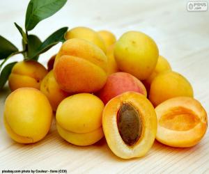 Puzzle Abricots