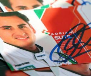Puzzle Adrian Sutil - Force India - Grand Prix de Hongrie 2010