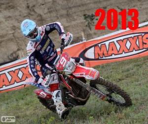 Puzzle Alex Salvini de champion du monde d'enduro 2013