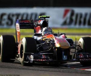 Puzzle Alguersuari - Toro Rosso - Suzuka 2010