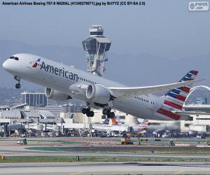 Puzzle American Airlines