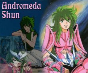 Puzzle Andromeda Shun, le Saint de Bronze de la constellation du Andromède