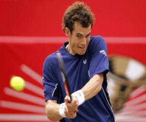 Puzzle Andy Murray prêt d'un coup