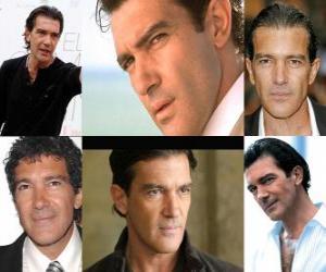 Puzzle Antonio Banderas a été le premier acteur espagnol à être nominé pour un Golden Globe, un Tony Award et un Emmy Awards.