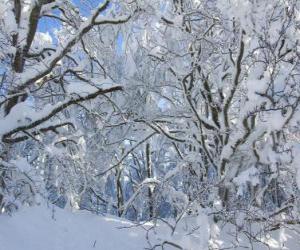 Puzzle Après les chutes de neige