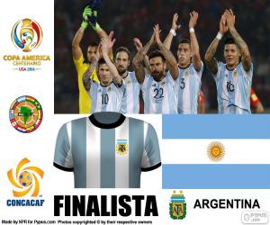 Puzzle ARG finaliste, Copa América 2016