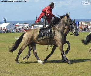 Puzzle Astuces d'équitation