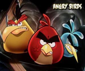 Puzzle Autres trois oiseaux du videojeu Angry Birds