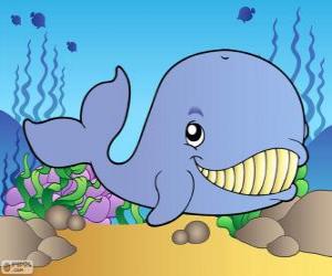 Puzzle Baleine souriant