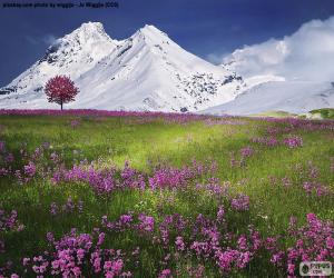 Puzzle Beaux paysages des Alpes