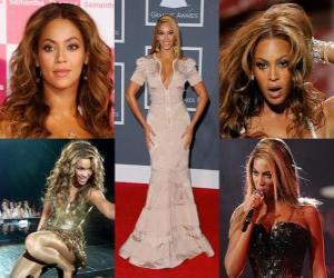 Puzzle Beyoncé le succès de ses albums solo lui a imposé comme l'un des artistes les plus commerciaux dans l'industrie de la musique