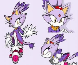 Puzzle Blaze the Cat, une princesse et un des amies de Sonic