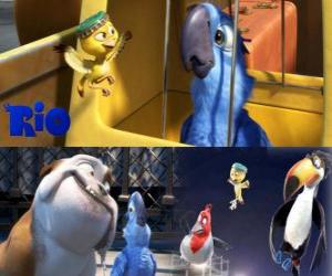 Puzzle Blu ainsi que d'autres personnages dans le film de Rio