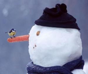 Puzzle Bonhomme de neige avec un oiseau sur le nez