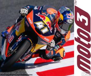 Puzzle Brad Binder, Moto3 2016