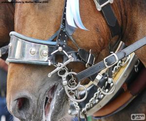 Puzzle Bride de cheval