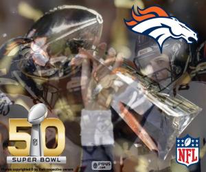 Puzzle Broncos, champion Super Bowl 2016