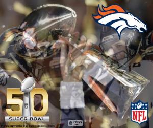 Puzzle Broncos, champion Super Bowl 2016