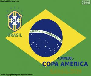 Puzzle Brésil, Champion Copa America 2019