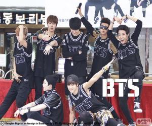 Puzzle BTS, Bangtan Boys