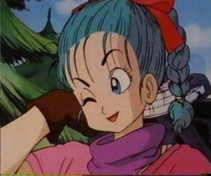 Puzzle Bulma, la fille de l'un des esprits les plus brillants au monde, arrive à ses oreilles la Légende du Dragon Balls et décide de trouver