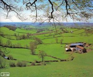 Puzzle Campagne du Devon, Grande Bretagne