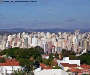 Puzzle Campinas, Brésil