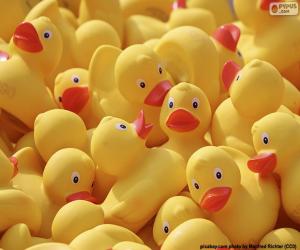 Puzzle Canards en caoutchouc