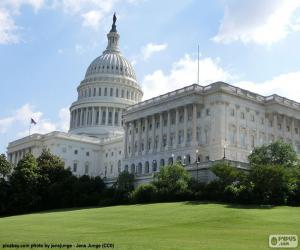 Puzzle Capitole des États-Unis