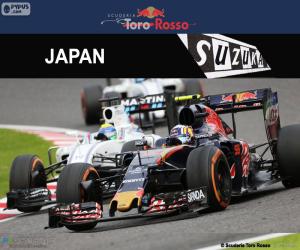 Puzzle Carlos Sainz Jr. GP du Japon 2016