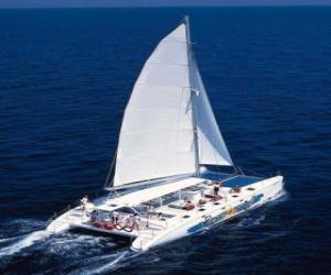 Puzzle Catamaran